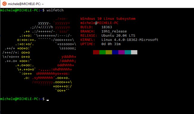 Ubuntu 20.04 LTS disponibile anche nel Microsoft Store, per utilizzarlo con WSL