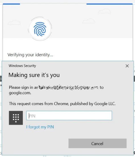 Chrome utilizza Windows Hello per autorizzare i pagamenti online
